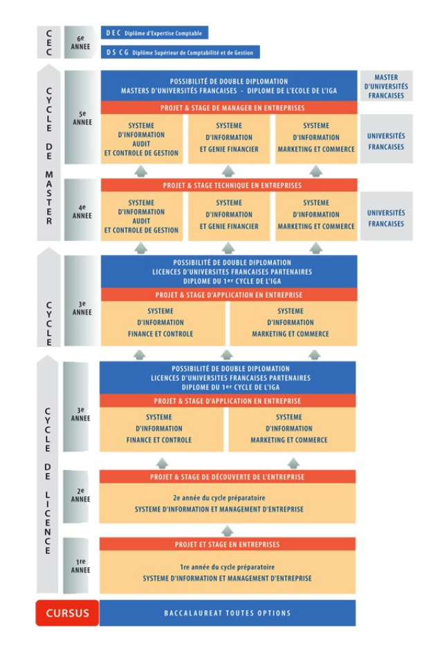Diagramm der organisationalen Struktur eines Unternehmens, das die Phasen des Unternehmenswachstums mit verbundenen Kästchen und beschreibendem Text zeigt.