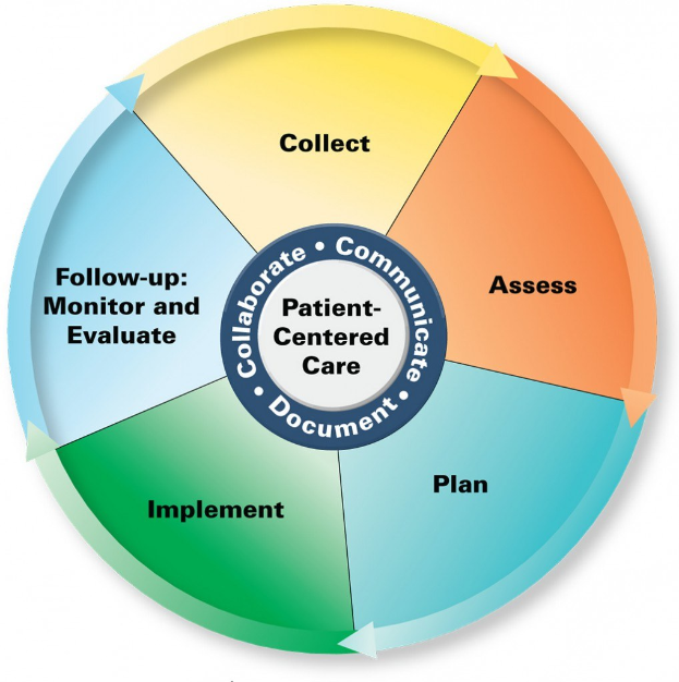 Ein Kreisdiagramm mit der Überschrift 'patientenorientierte Versorgung' mit vier farbigen Abschnitten, die jeweils mit einem spezifischen Aspekt der Versorgung beschriftet sind, auf einem weißen Hintergrund.