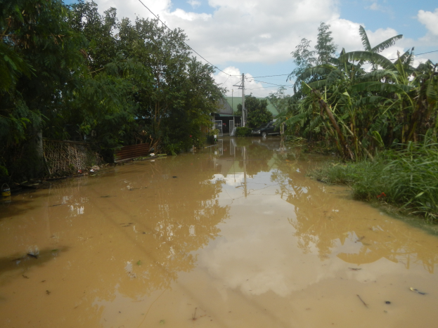 Eine überflutete ländliche Straße mit Wasser, das die Straße bedeckt, umgeben von Pflanzen und Bäumen, einem geparkten Auto auf der rechten Seite und Häusern, Masten, Drähnen und einem bewölkten Himmel im Hintergrund.