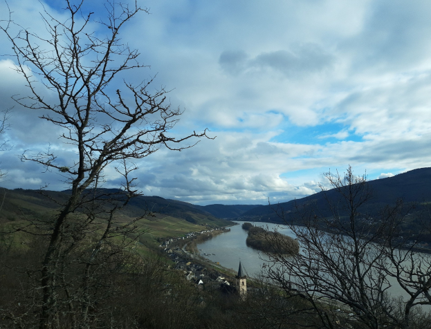 Wegen Hitze: Weitere Verschlechterung für den Rhein in Mainz erwartet