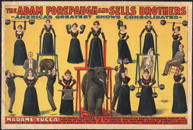 Plakat für die konsolidierte Zirkus-Show von Adam Forepaugh und Sells Brothers mit Performern auf Hockern, einem Elefanten und Werbetext.