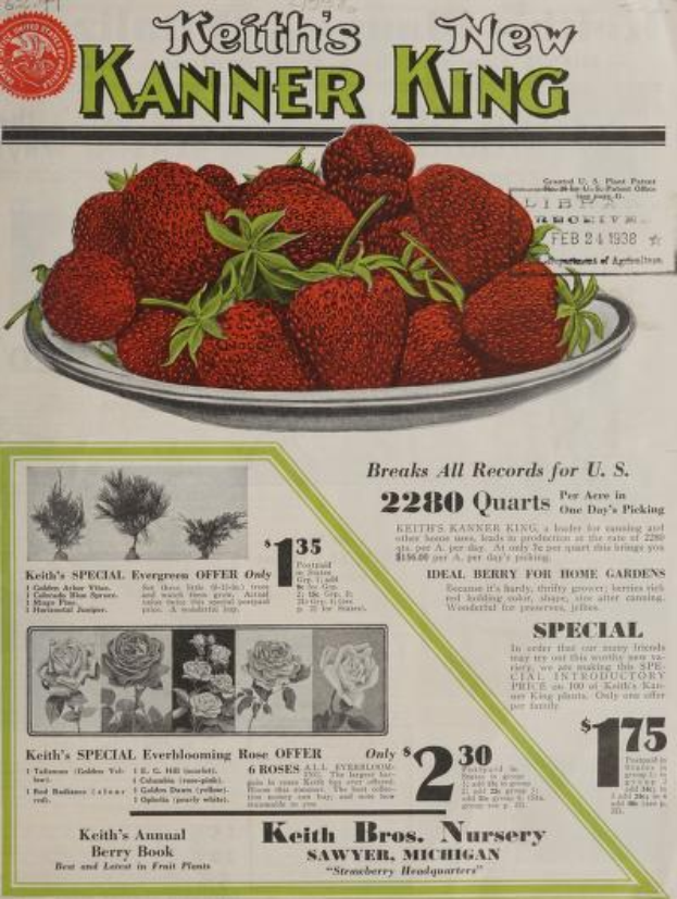 Ein Teller reifer, roter Erdbeeren mit "Keith's KANNER KING" in fetten, weißen Buchstaben darüber, vor einem hellgelben Hintergrund.