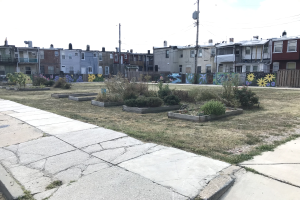 Stadtrat von Koblenz genehmigt Millionen-Projekte und neuen Bürgermeister