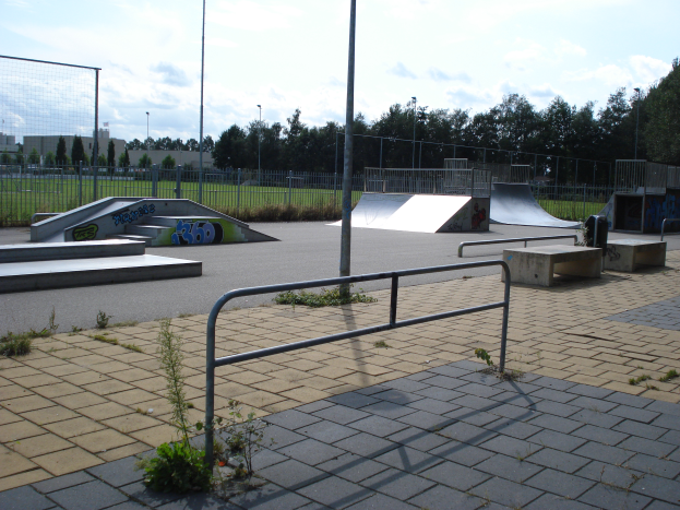 Ein Skatepark mit Rampen, Geländern und verschiedenen Hindernissen, umgeben von Pflanzen, Gras, Pfählen, Bäumen und Gebäuden, mit einem bewölkten Himmel im Hintergrund.