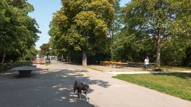 Ein Hund läuft einen Weg in einem Park entlang, mit Gras auf beiden Seiten, Bäumen, Bänken, Menschen, Pfählen und einem klaren blauen Himmel im Hintergrund und einem Tischtennis-Tisch auf der linken Seite.