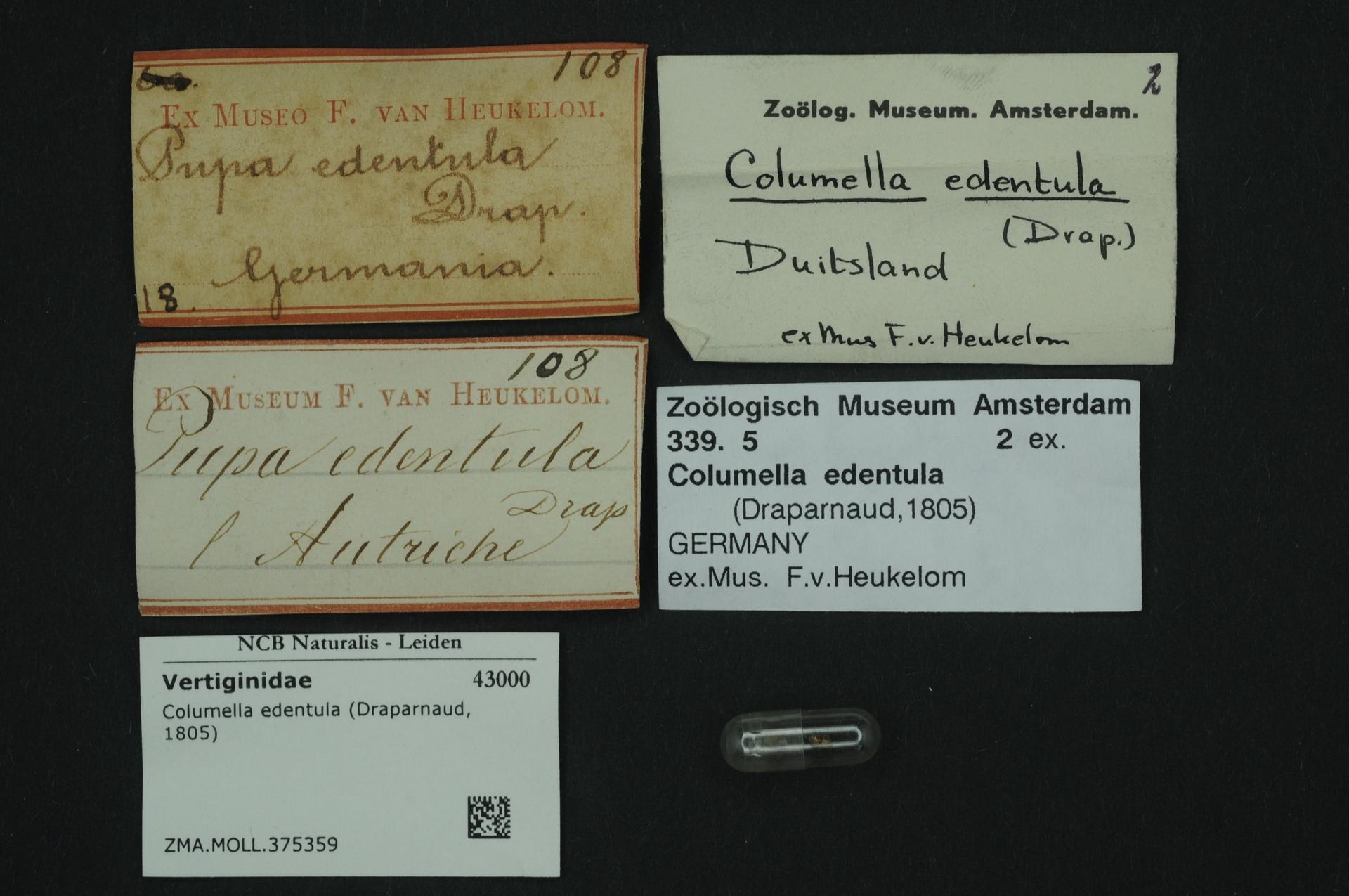 Eine Sammlung alter Visitenkarten mit Texten zum Thema Columella edentula, einem niederländischen Medikament, und einem kleinen Barcode-gekennzeichneten Papier.