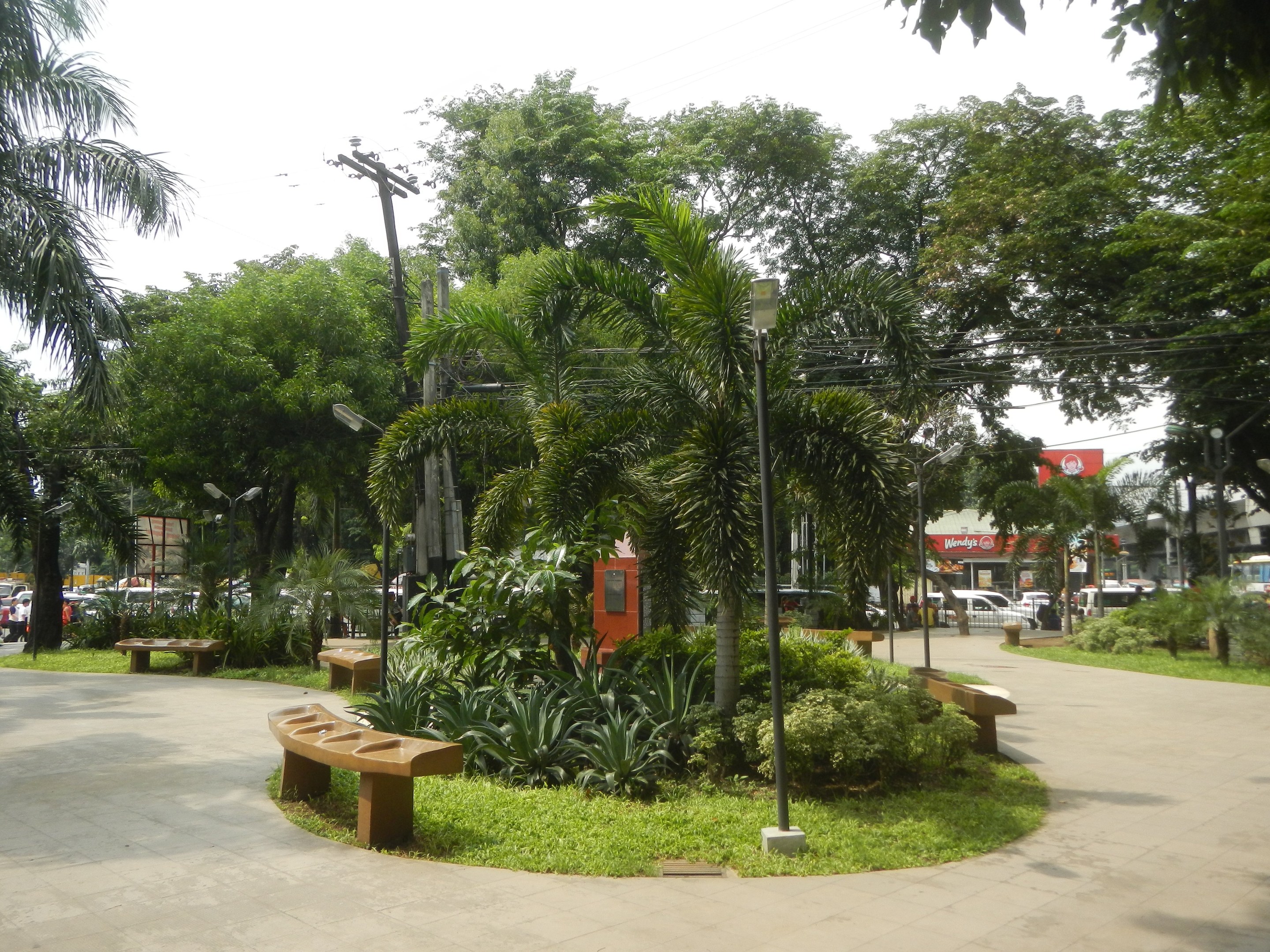 Ein Park mit Bänken und Palmen, umgeben von grünem Gras, Pflanzen und Bäumen, mit Laternen, Strommasten mit Kabeln und Fahrzeugen auf einer Straße mit Gebäuden und einem klaren blauen Himmel im Hintergrund.