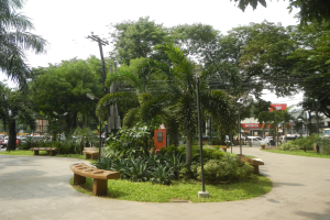 Ein Park mit Bänken und Palmen, umgeben von grünem Gras, Pflanzen und Bäumen, mit Laternen, Strommasten mit Kabeln und Fahrzeugen auf einer Straße mit Gebäuden und einem klaren blauen Himmel im Hintergrund.