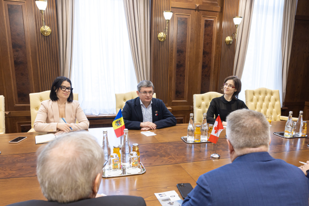 Eine Gruppe von Menschen in einer formellen Umgebung, die um einen Holztisch sitzen und EU-relevante Gegenstände diskutieren.