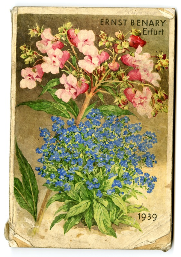 Ein altes Buch mit einer detaillierten, farbenfrohen Malerei einer Pflanze mit pinken und blauen Blumen auf dem Cover, mit sichtbarem Text.